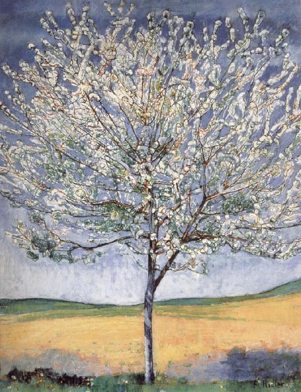 Ferdinand Hodler Cherry tree in bloom oil painting image
